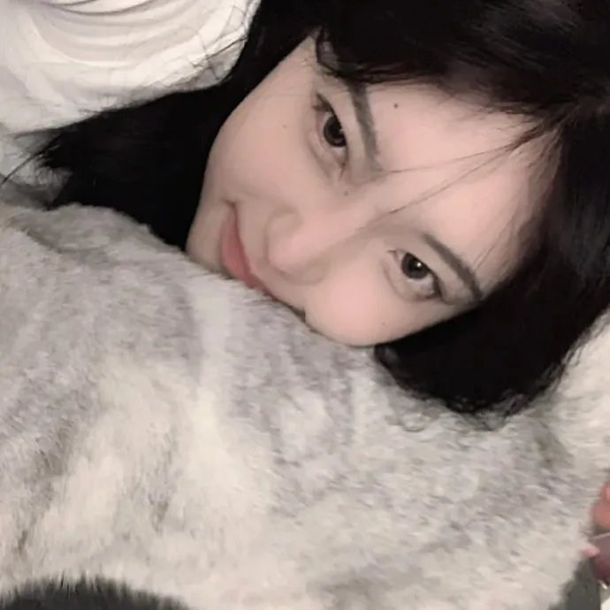 忘掉莎拉·马歇尔