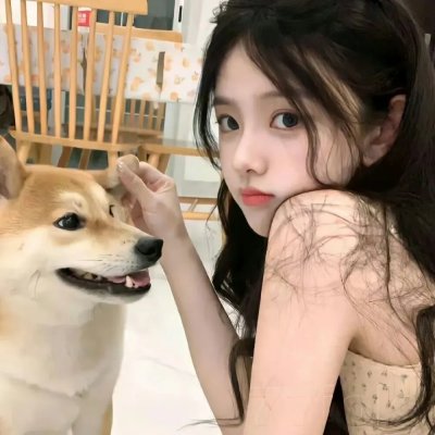 吃鸡战场